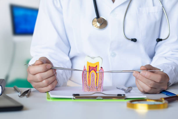 Best Broken or Chipped Tooth Repair in Pion Hills, CA
